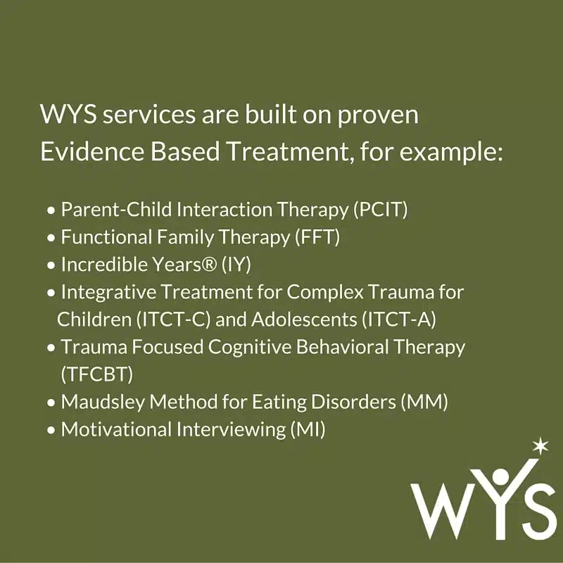 Image of WYS Services Infographic on Blog - Western Youth Services (WYS) Orange County - the hub of mental health care and wellness solutions for kids in Orange County, CA